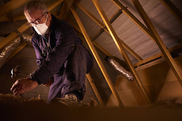 Trusted DE Insulation Contractor Experts