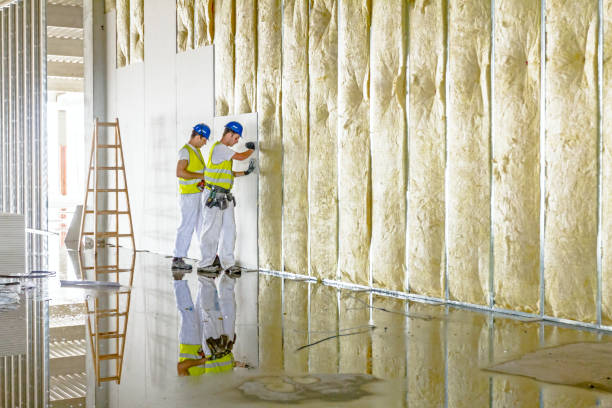 Best Types of Insulation in St Georges, DE